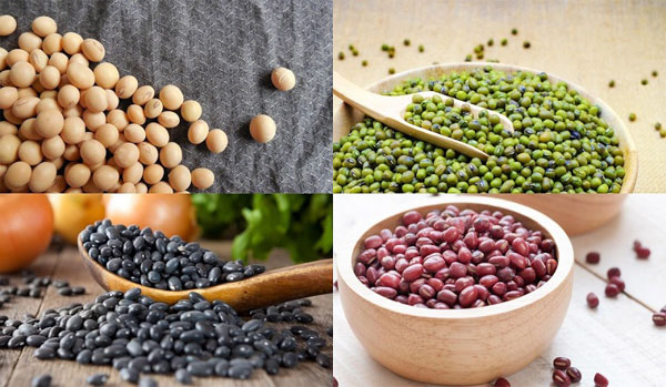 Các loại đậu và các loại hạt đều rất giàu canxi, vitamin và khoáng chất Các loại đậu và các loại hạt đều rất giàu canxi, vitamin và khoáng chất