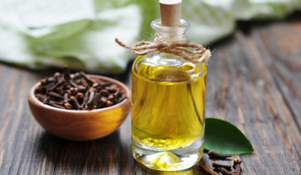 Dầu đinh hương có tính chất kháng vi khuẩn và có thể giúp làm hết cao răng