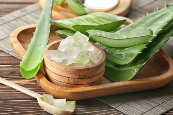 Nha đam chứa gel có tính chất làm sạch và chống vi khuẩn