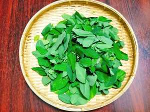 Rau ngót có tính chất chống vi khuẩn và kháng nấm giúp làm sạch và lành nấm miệng