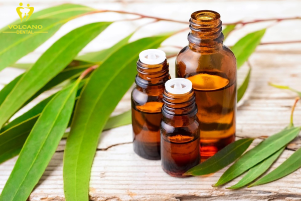 Tinh dầu trà có tính chất kháng viêm và kháng khuẩn, giúp loại bỏ vi khuẩn gây đau răng Tinh dầu trà có tính chất kháng viêm và kháng khuẩn, giúp loại bỏ vi khuẩn gây đau răng