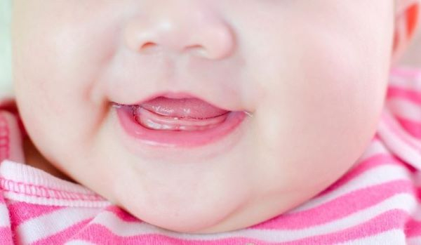 Thích cắn, nhai và ngậm đồ vật Thích cắn, nhai và ngậm đồ vật