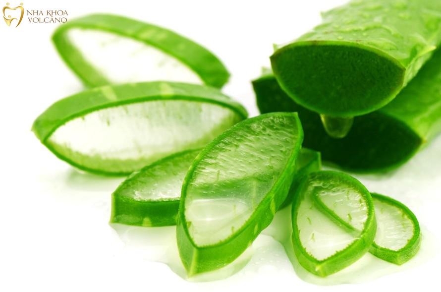 Trị lưỡi bị nổi hột đỏ bằng nha đam Trị lưỡi bị nổi hột đỏ bằng nha đam